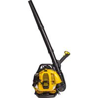 Воздуходувка бензиновая садовая Champion GBR333