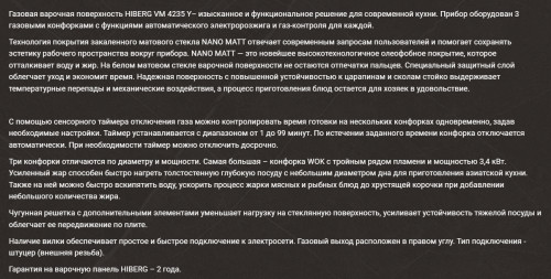 Газовая варочная панель Hiberg (Хайберг) VM 4235 Y